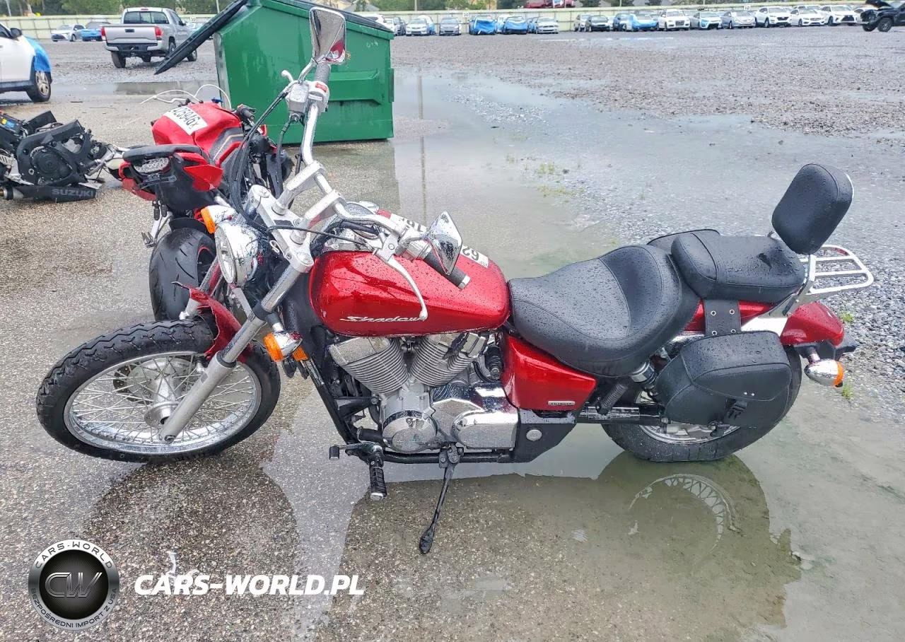 2009 Honda Vt750 C2 VIN:JH2RC53069K200994 - 3
