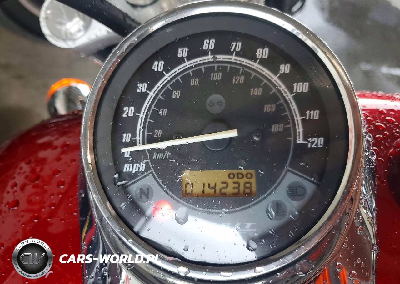 2009 Honda Vt750 C2 VIN:JH2RC53069K200994 - 7