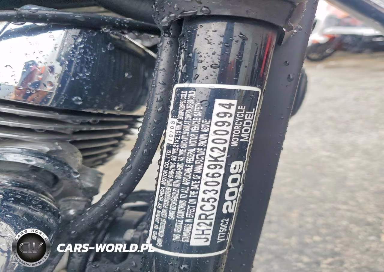 2009 Honda Vt750 C2 VIN:JH2RC53069K200994 - 9
