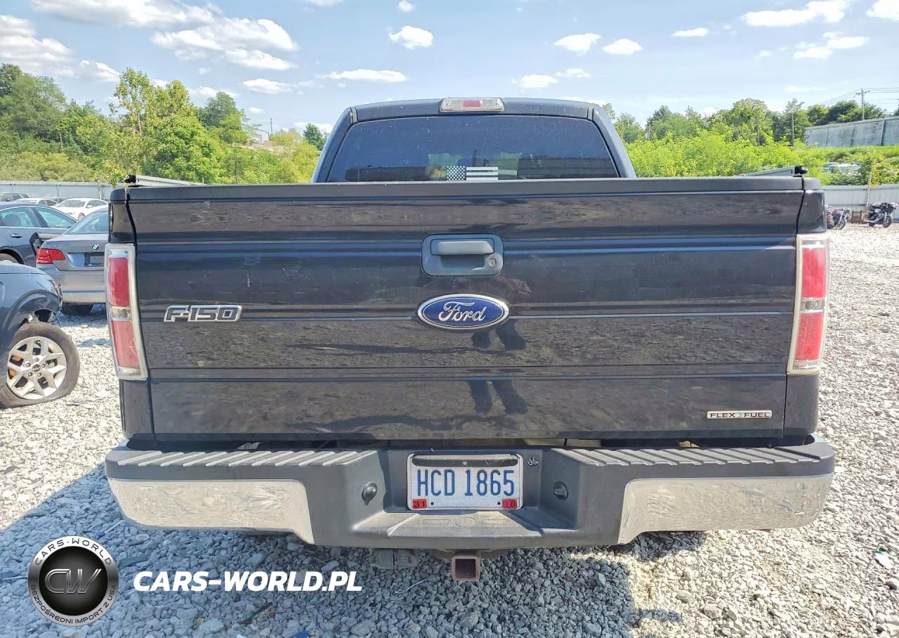 2014 Ford F150 Supercrew VIN:1FTFW1EF3EFC29823 - 6