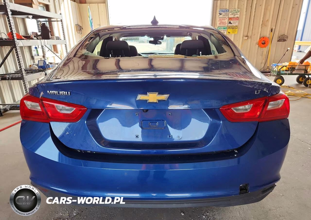 2023 Chevrolet Malibu Lt VIN:1G1ZD5ST1PF241291 - 6