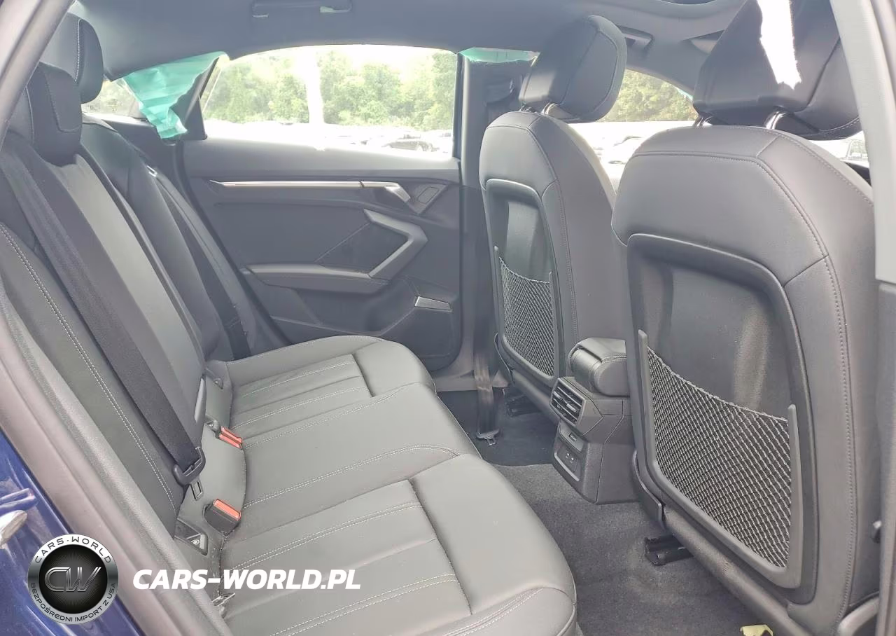 2023 Audi A3 Premium Plus VIN:WAUHUDGY5PA127760 - 10