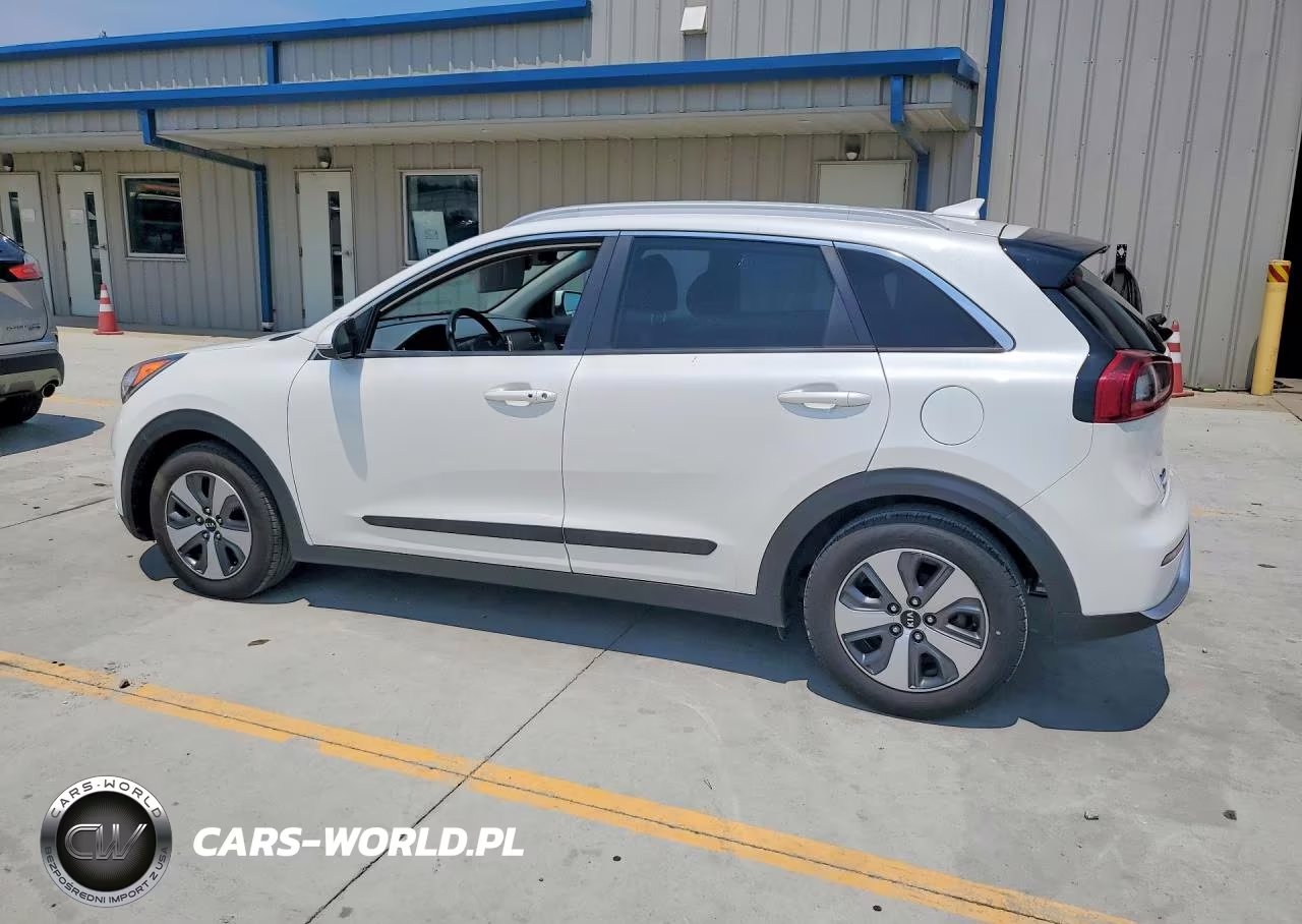 2019 Kia Niro Ex VIN:KNDCC3LCXK5317950 - 2