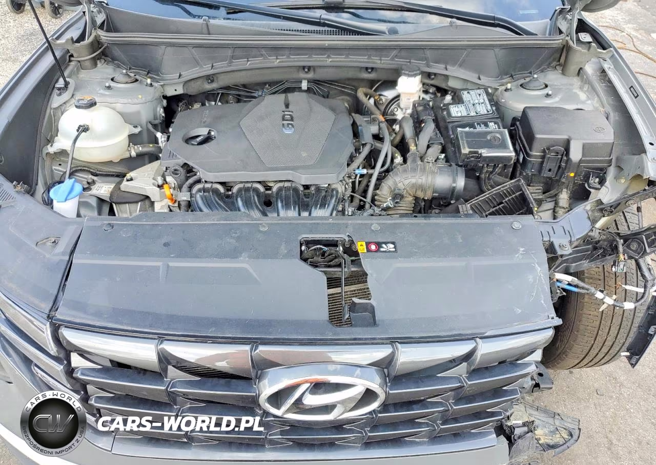 2024 Hyundai Tucson Sel VIN:5NMJF3DE2RH412198 - 12