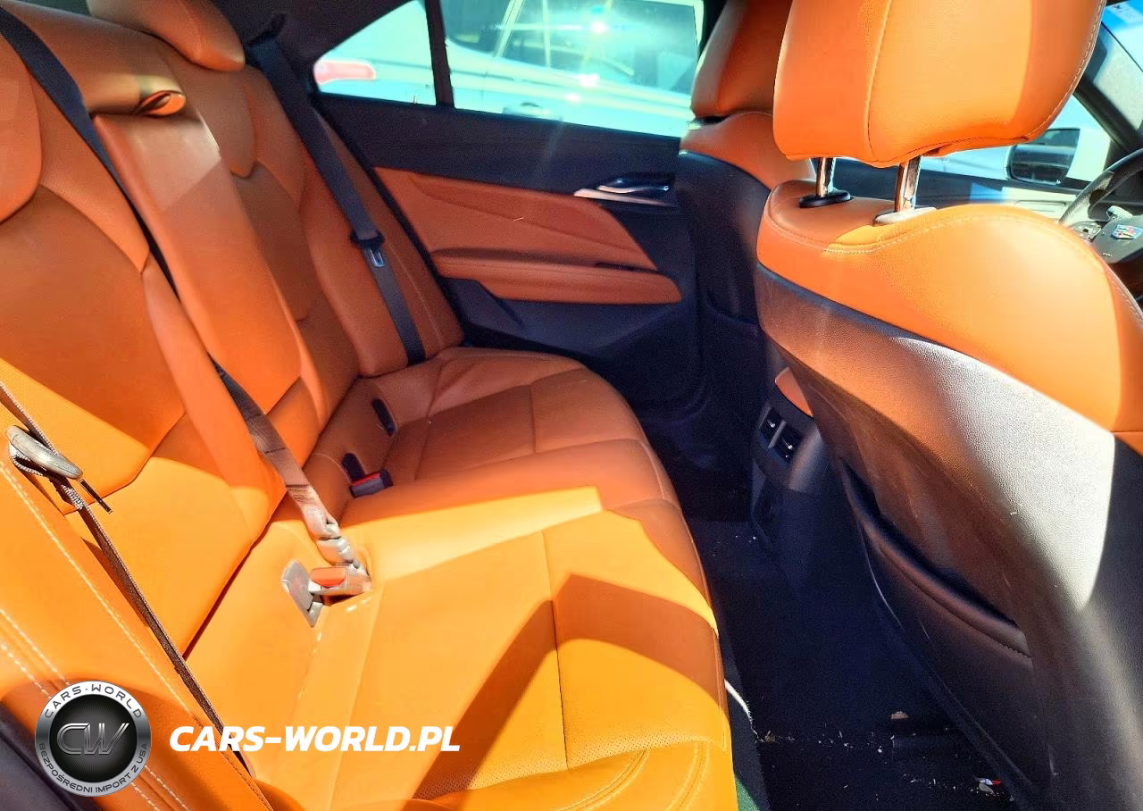 2021 Cadillac Ct4 Premium Luxury VIN:1G6DF5RK6M0113106 - 10
