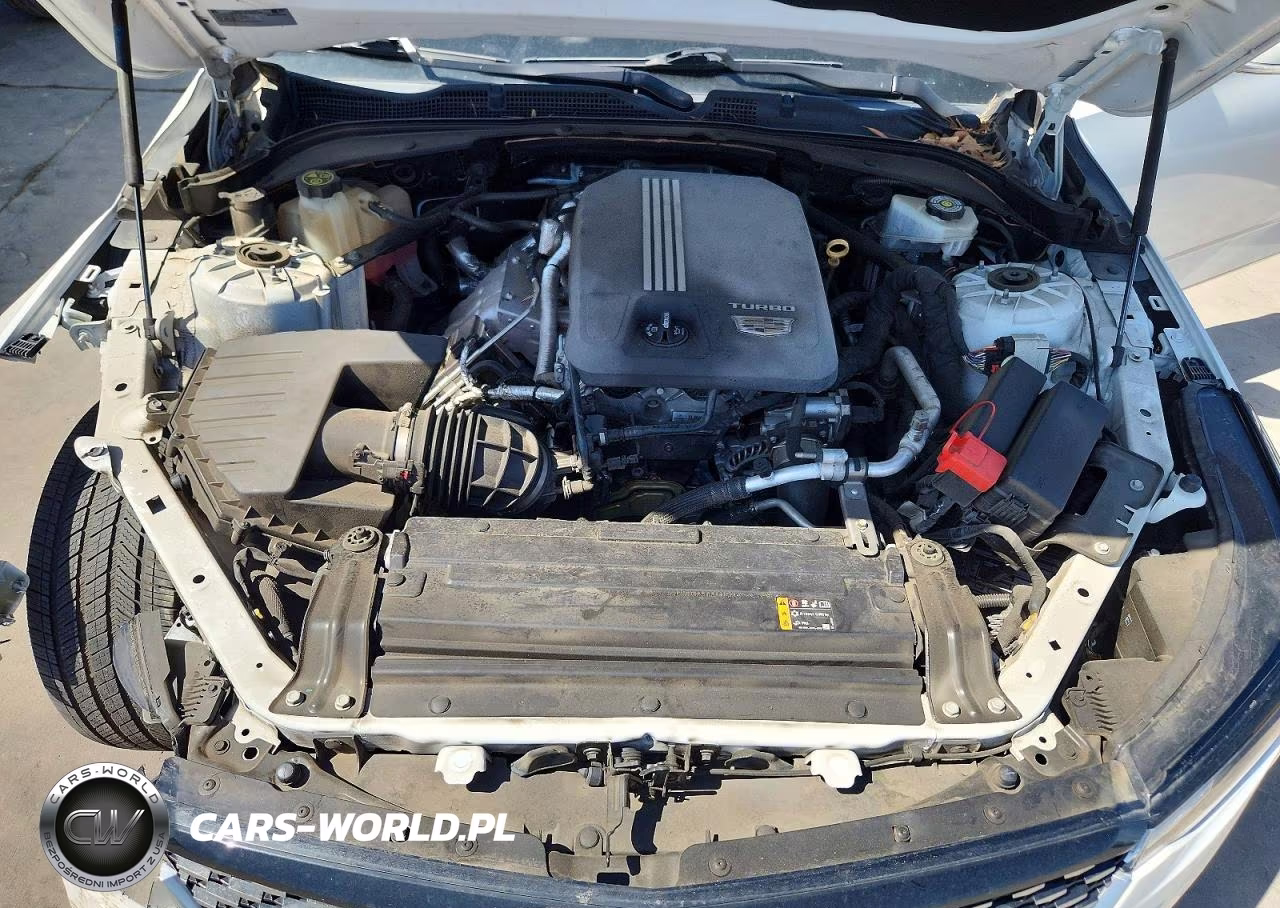 2021 Cadillac Ct4 Premium Luxury VIN:1G6DF5RK6M0113106 - 11