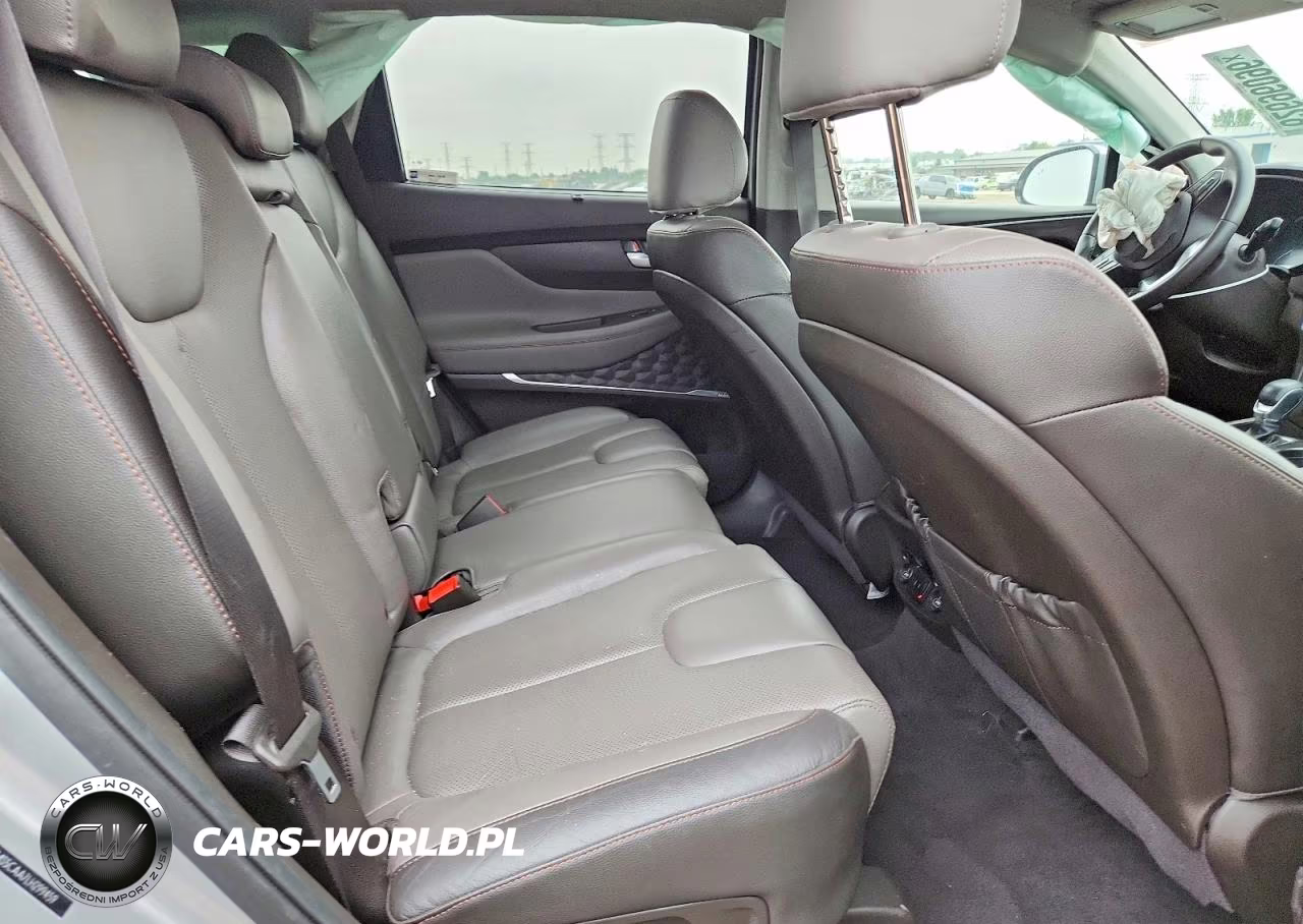 2020 Hyundai Santa Fe Limited 2.0T VIN:5NMS5CAA7LH299459 - 10