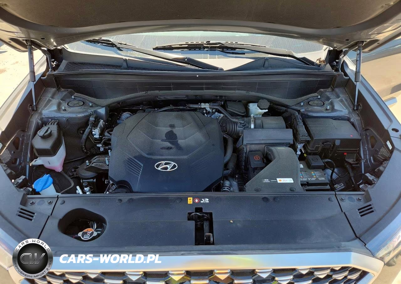 2022 Hyundai Palisade Calligraphy VIN:KM8R74HE5NU418348 - 11