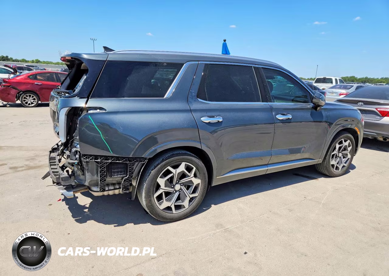 2022 Hyundai Palisade Calligraphy VIN:KM8R74HE5NU418348 - 3