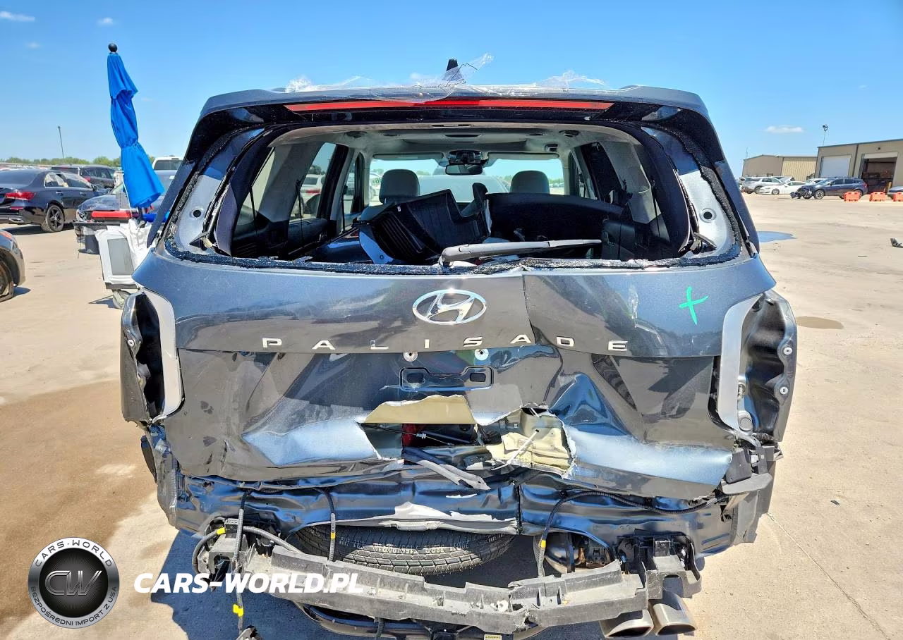 2022 Hyundai Palisade Calligraphy VIN:KM8R74HE5NU418348 - 6