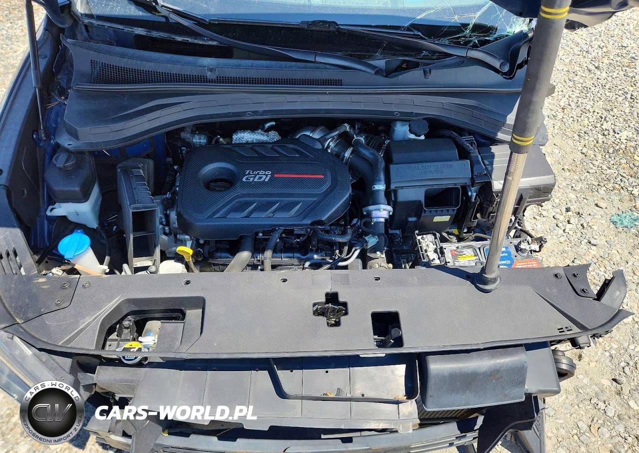 2020 Hyundai Santa Fe Limited 2.0T VIN:5NMS5CAA2LH275196 - 12