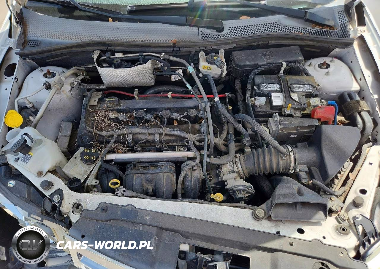 2008 Ford Focus S-Se VIN:1FAHP34N48W123594 - 11