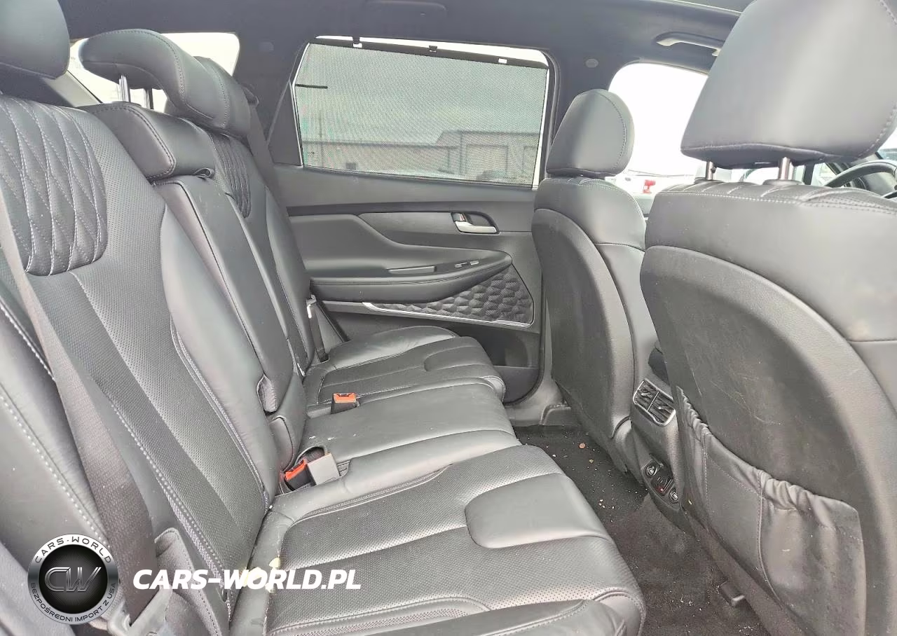 2021 Hyundai Santa Fe Calligraphy VIN:5NMS5DAL4MH366897 - 11