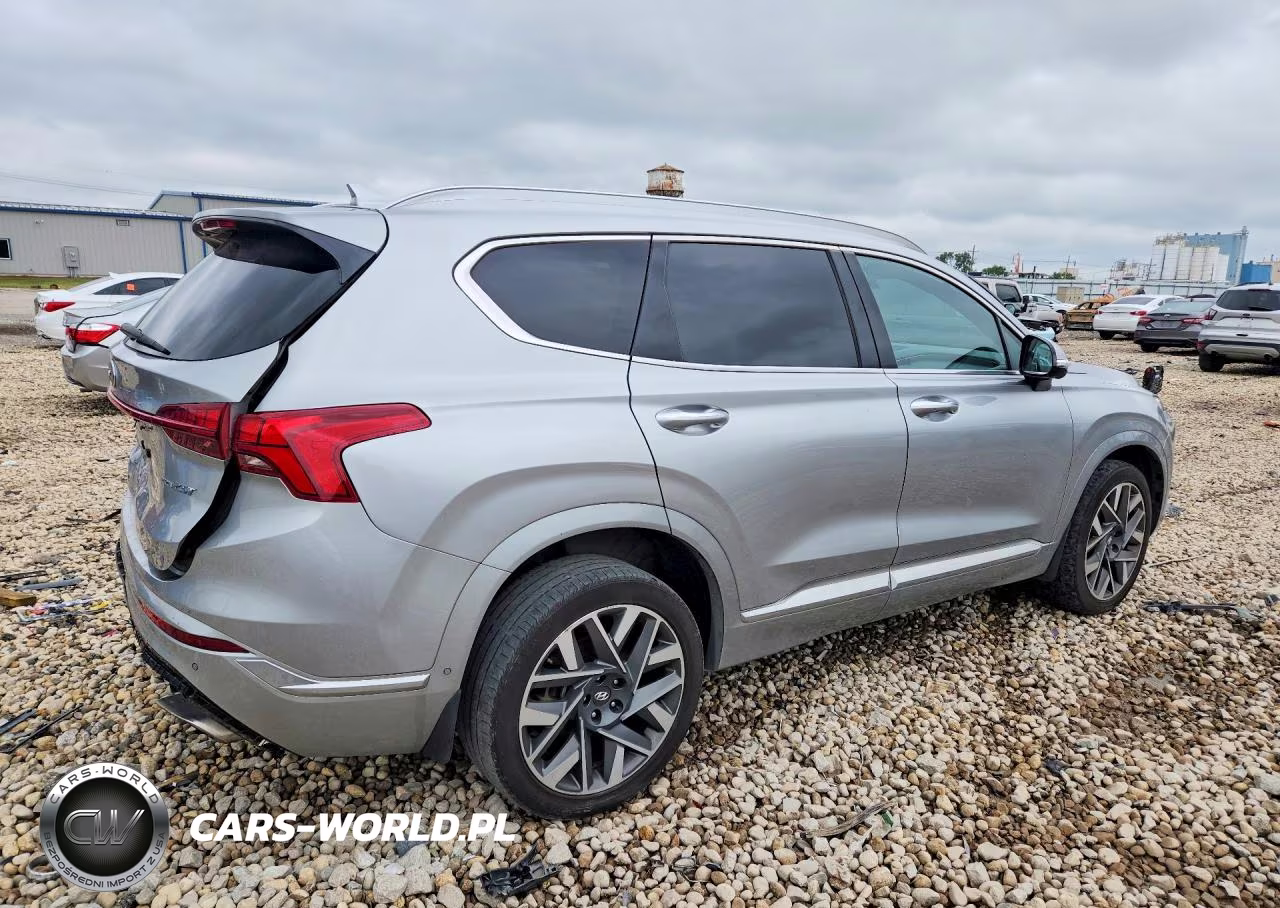 2021 Hyundai Santa Fe Calligraphy VIN:5NMS5DAL4MH366897 - 3