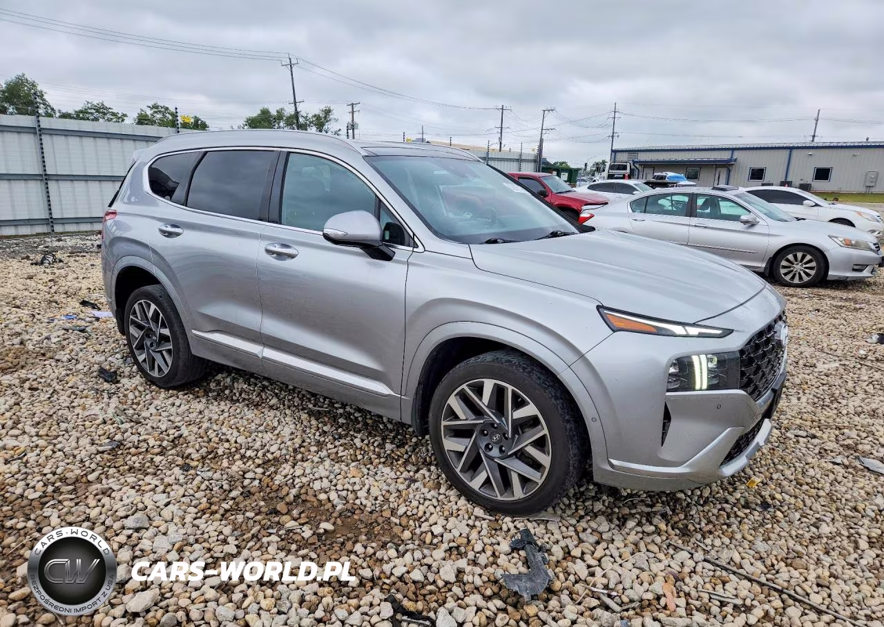 2021 Hyundai Santa Fe Calligraphy VIN:5NMS5DAL4MH366897 - 4