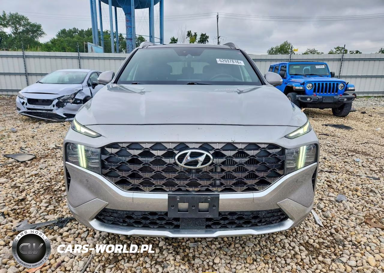 2021 Hyundai Santa Fe Calligraphy VIN:5NMS5DAL4MH366897 - 5