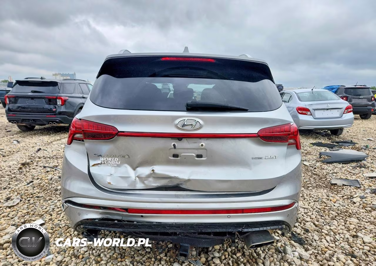 2021 Hyundai Santa Fe Calligraphy VIN:5NMS5DAL4MH366897 - 6
