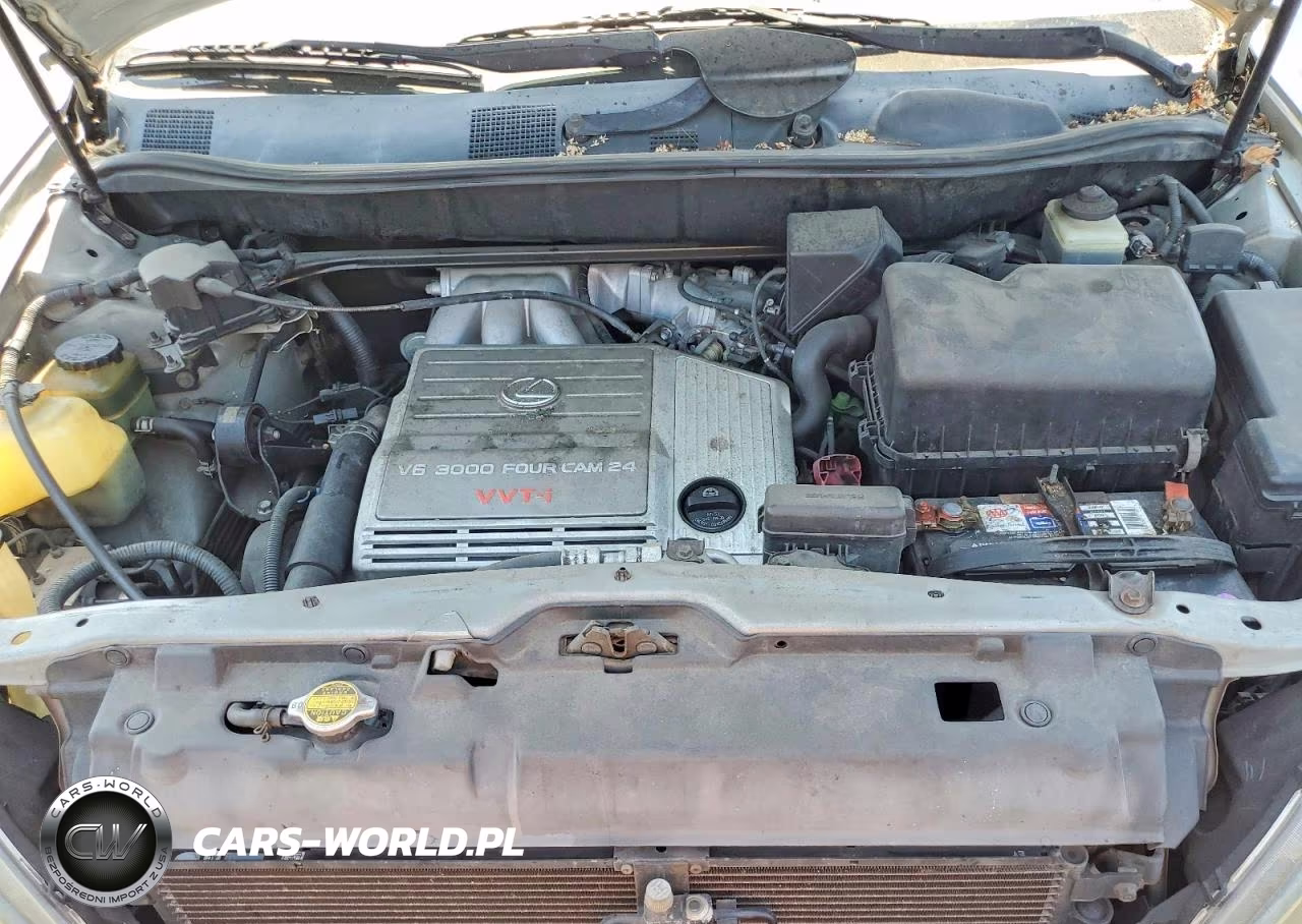 2000 Lexus Rx 300 VIN:JT6GF10U2Y0051251 - 12