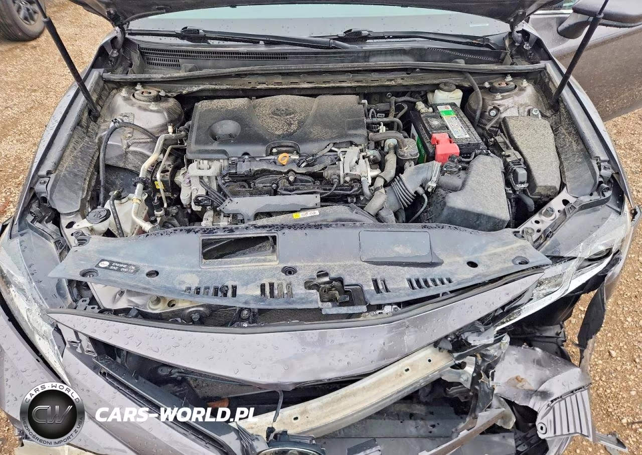 2019 Toyota Camry Le VIN:4T1B11HK4KU194847 - 11