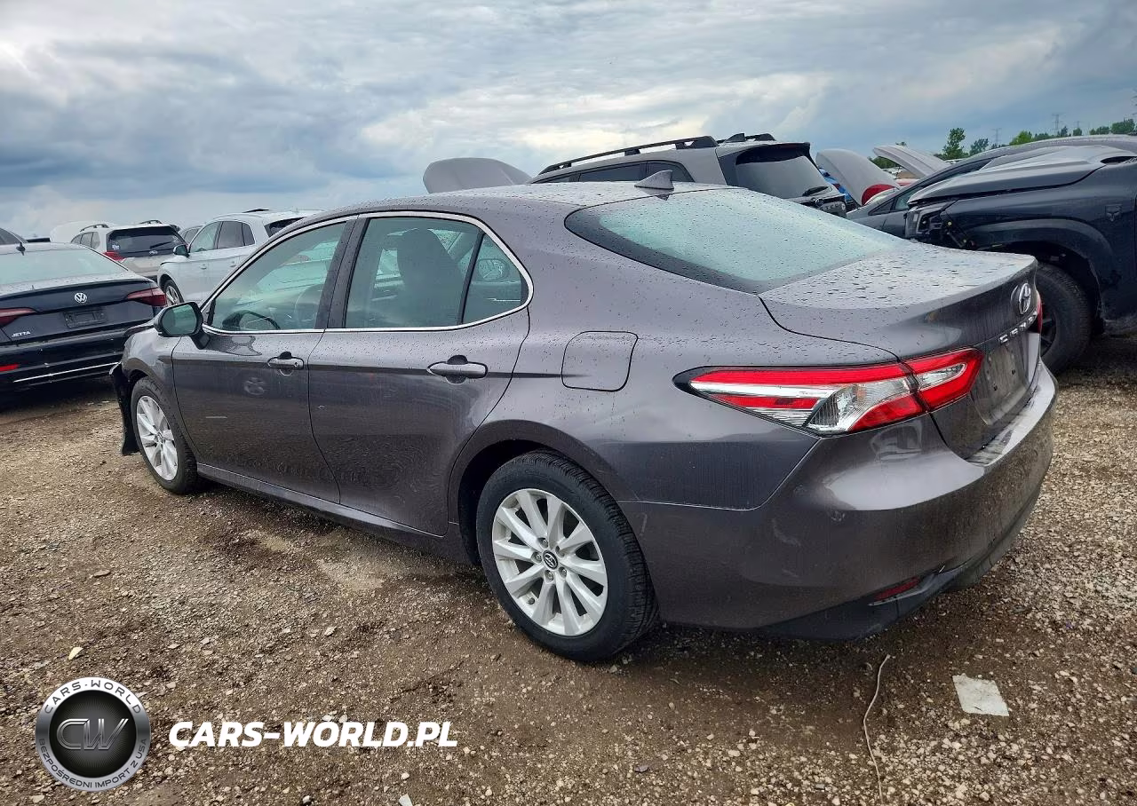 2019 Toyota Camry Le VIN:4T1B11HK4KU194847 - 2