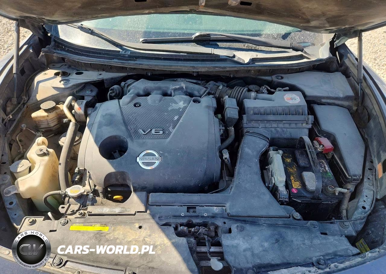 2009 Nissan Maxima 3.5 S VIN:1N4AA51EX9C802369 - 11