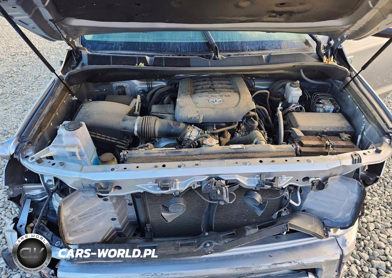 2019 Toyota Tundra Platinum VIN:5TFAY5F1XKX831560 - 11