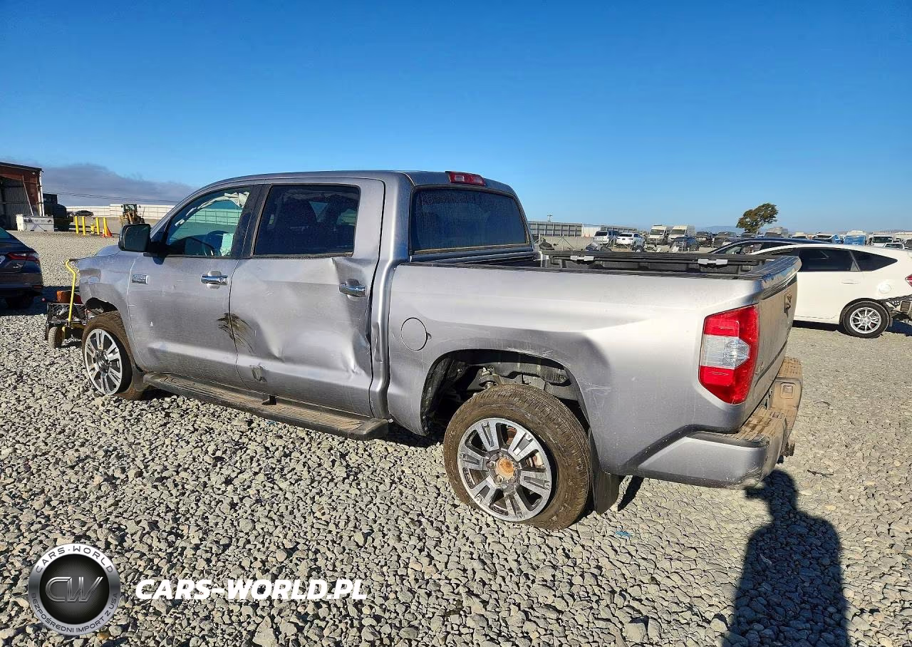 2019 Toyota Tundra Platinum VIN:5TFAY5F1XKX831560 - 2