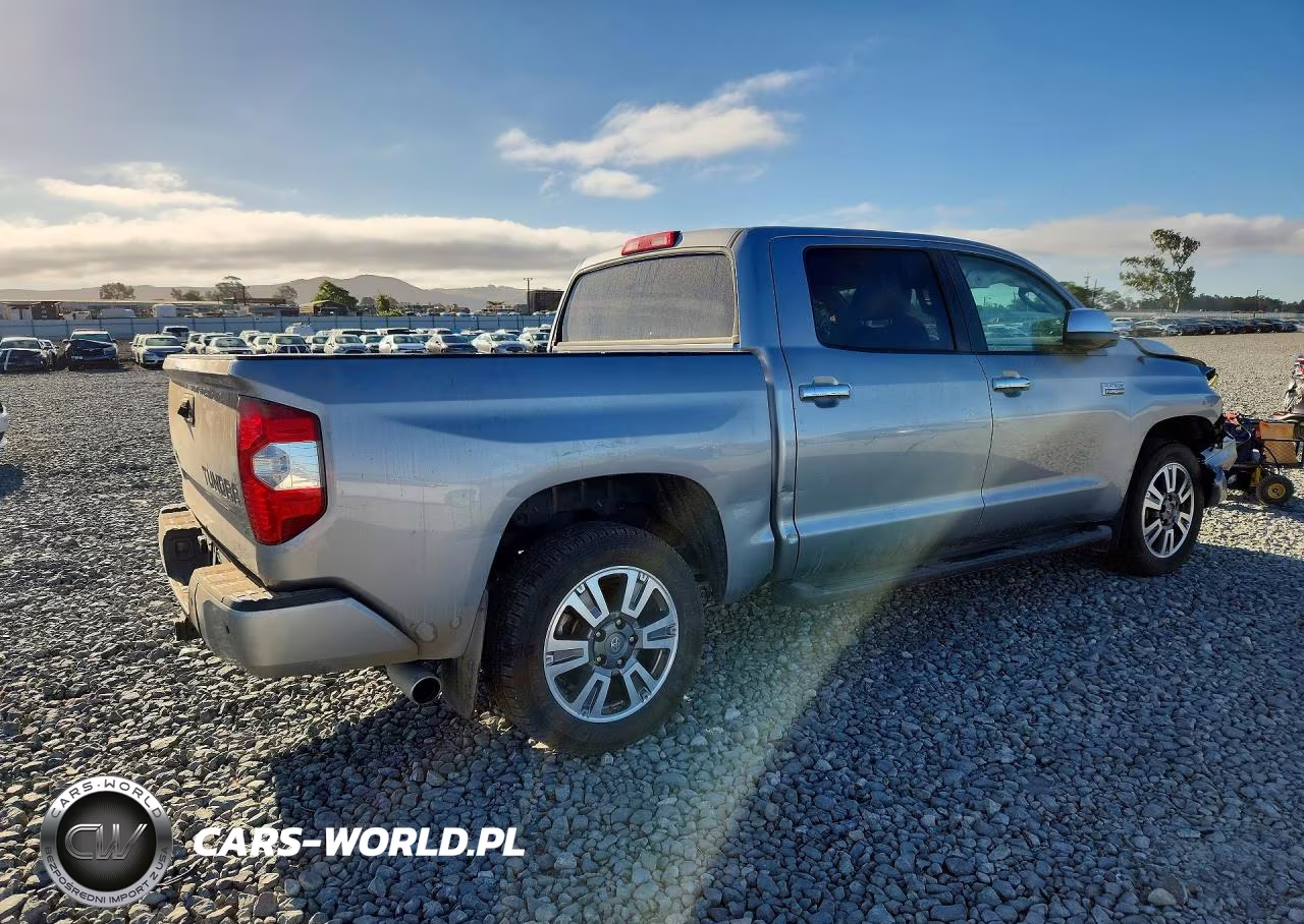 2019 Toyota Tundra Platinum VIN:5TFAY5F1XKX831560 - 3