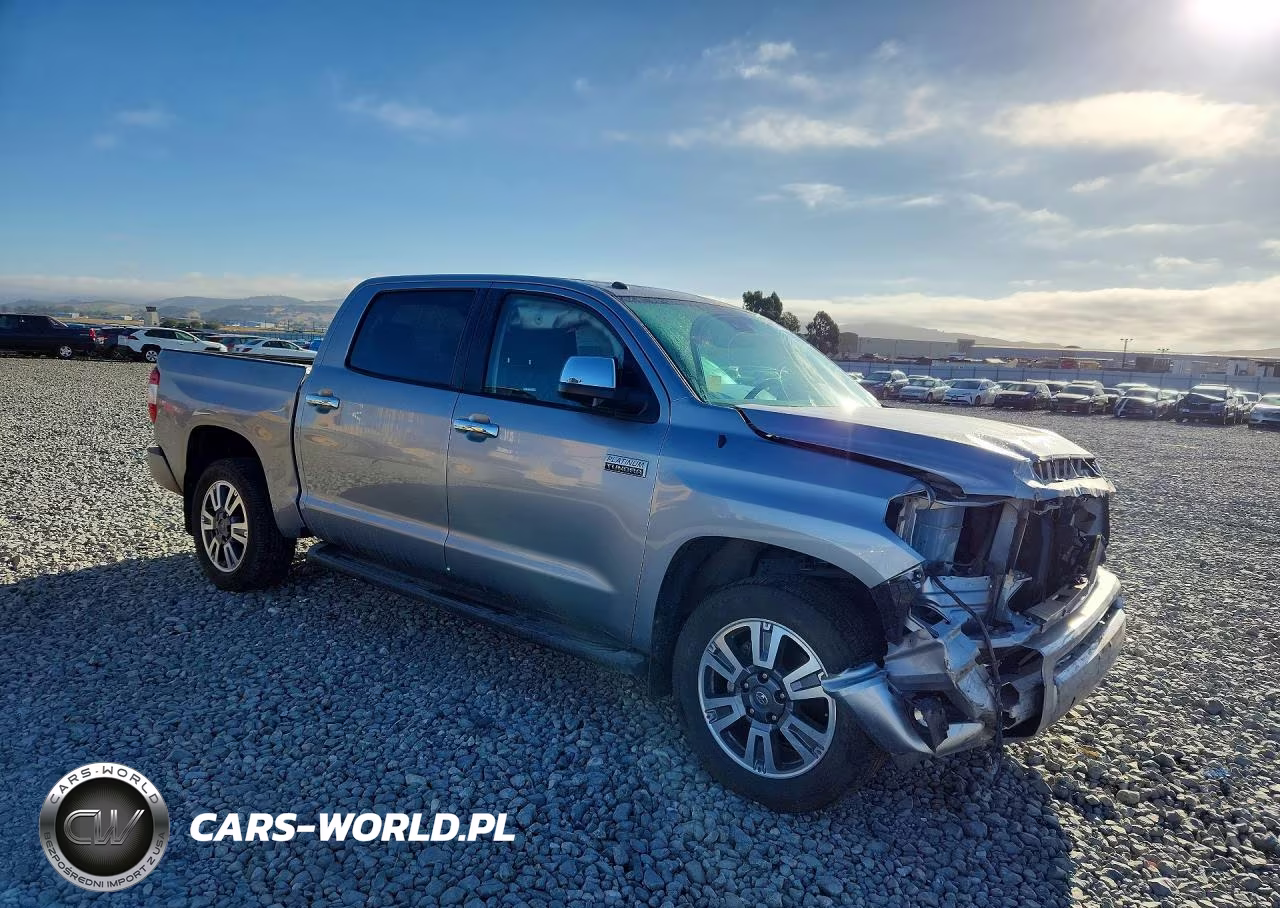 2019 Toyota Tundra Platinum VIN:5TFAY5F1XKX831560 - 4