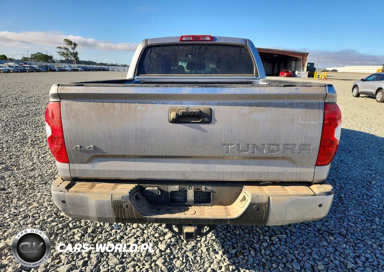 2019 Toyota Tundra Platinum VIN:5TFAY5F1XKX831560 - 6