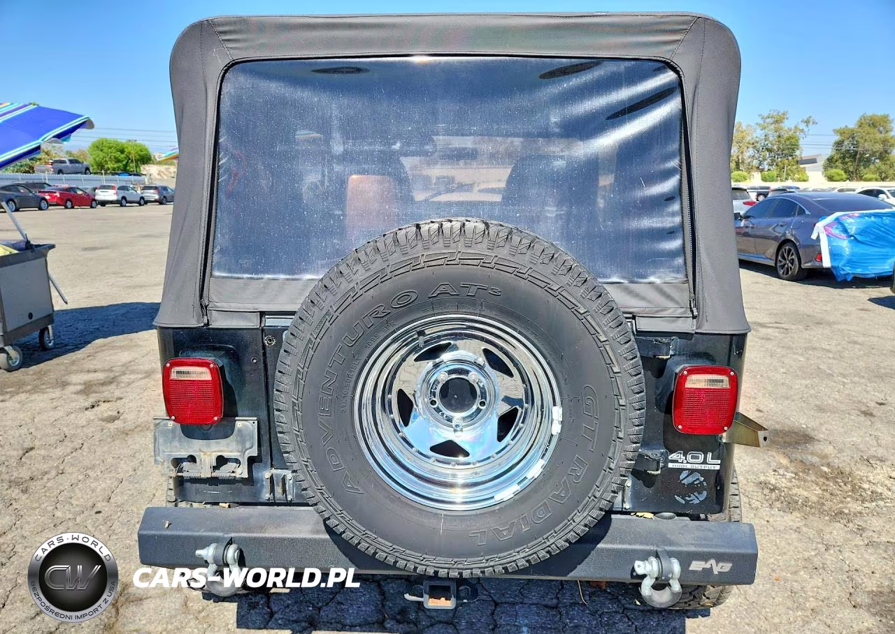 1992 Jeep Wrangler - Yj VIN:2J4FY29S2NJ524811 - 6