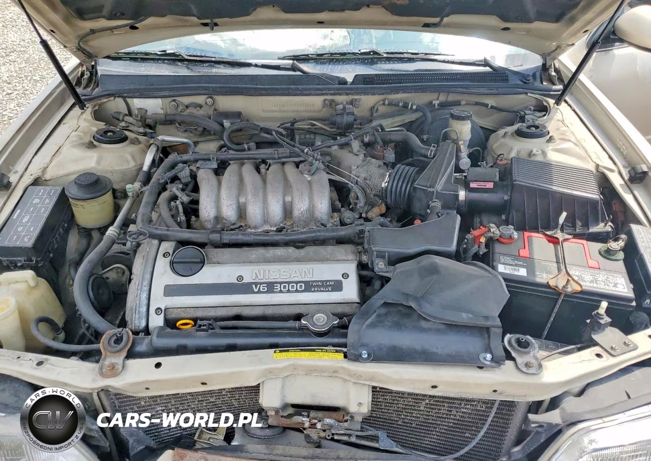 1995 Nissan Maxima Gxe VIN:JN1CA21D2ST031018 - 11