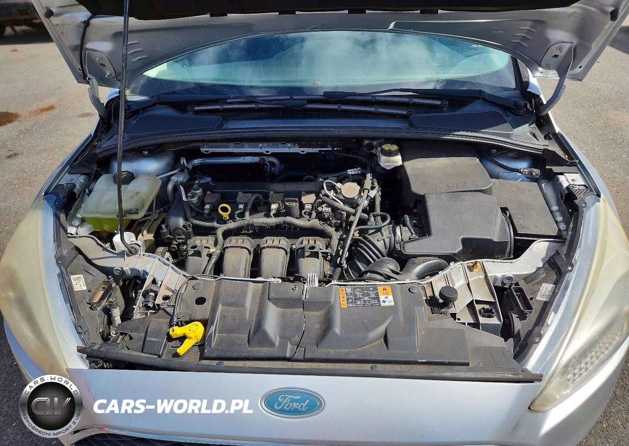 2017 Ford Focus Se VIN:1FADP3F20HL342149 - 11