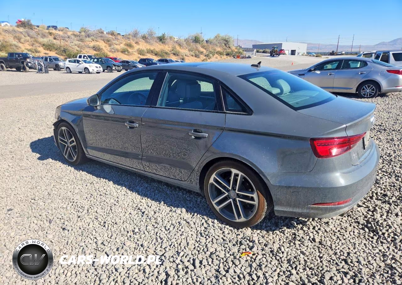 2019 Audi A3 Premium-Titanium VIN:WAUAUGFF2KA109681 - 2