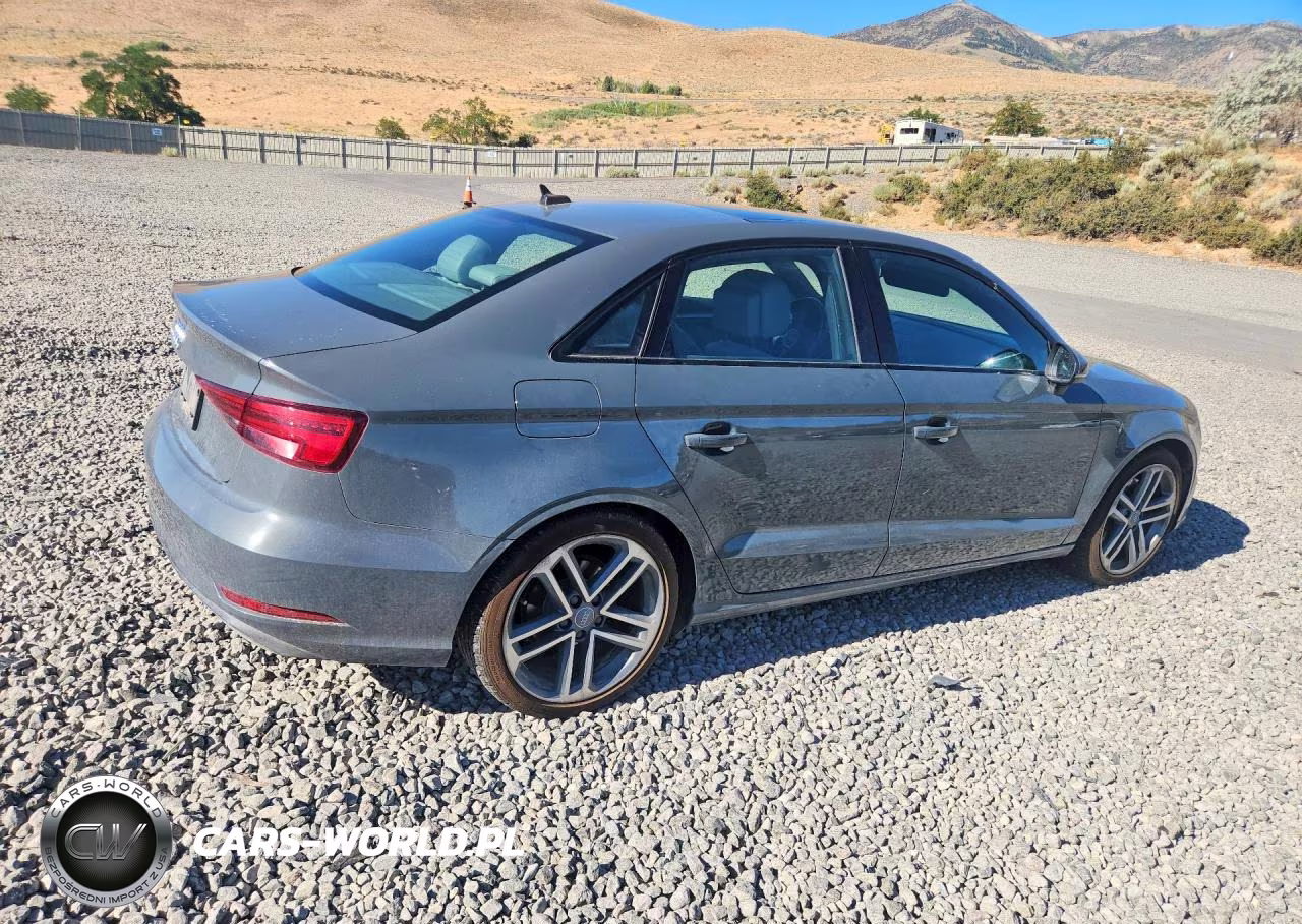 2019 Audi A3 Premium-Titanium VIN:WAUAUGFF2KA109681 - 3