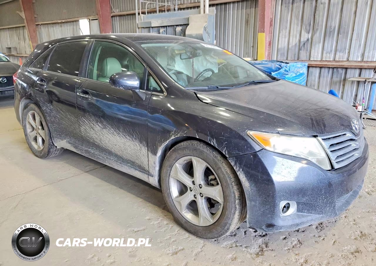 2009 Toyota Venza Awd V6 VIN:4T3BK11AX9U002251 - 4