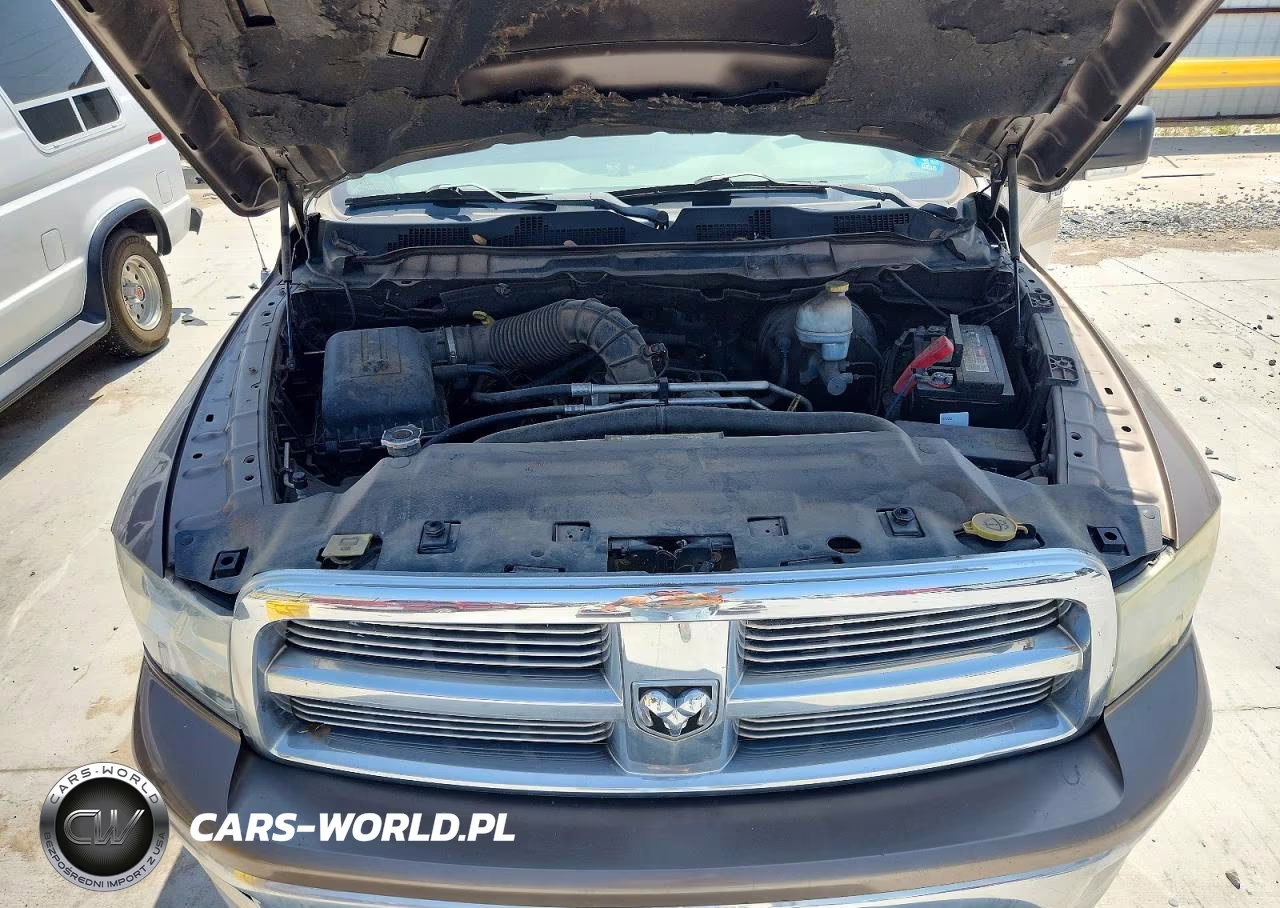 2010 Dodge Ram 1500 VIN:1D7RB1CT4AS248552 - 11