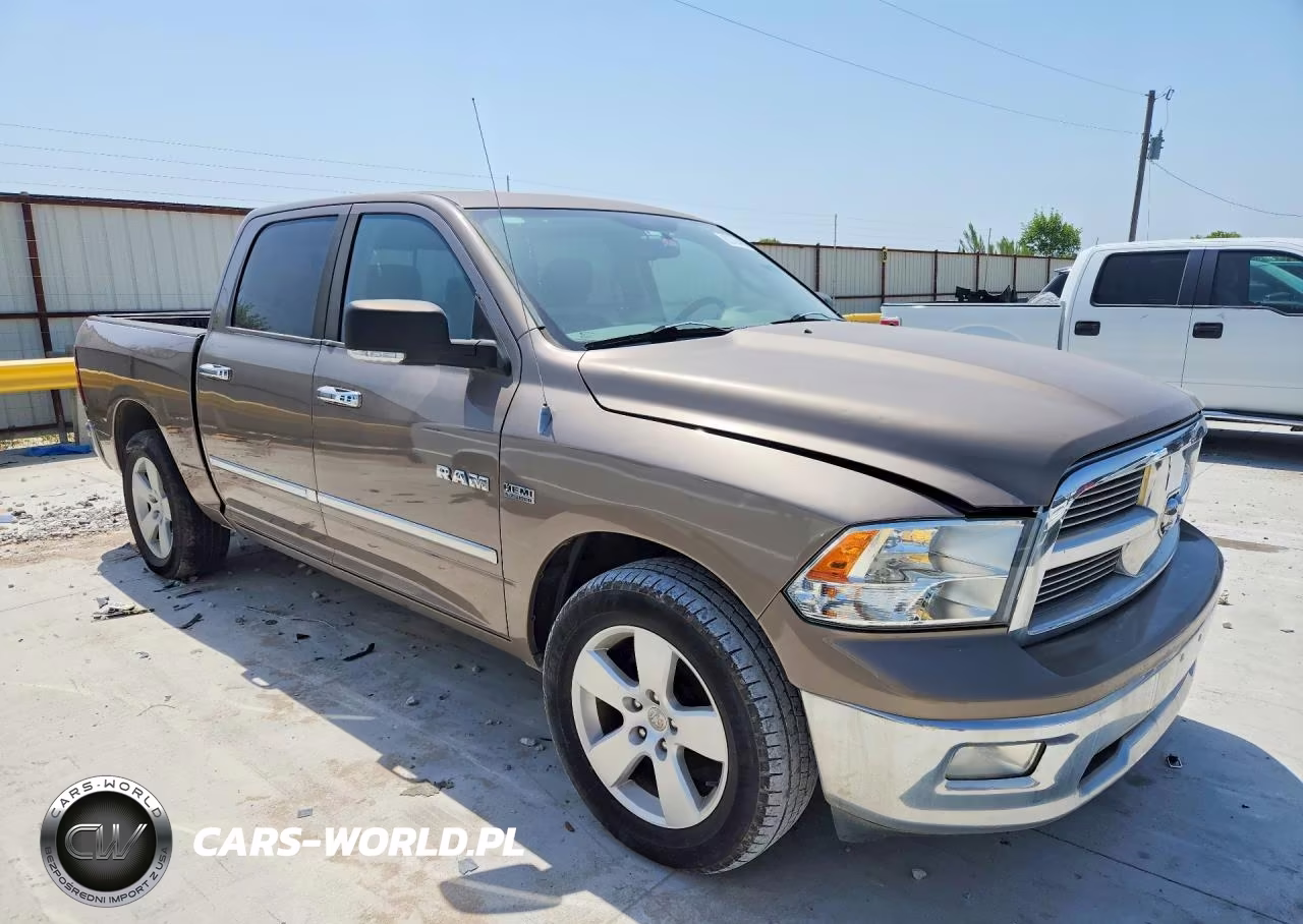 2010 Dodge Ram 1500 VIN:1D7RB1CT4AS248552 - 4
