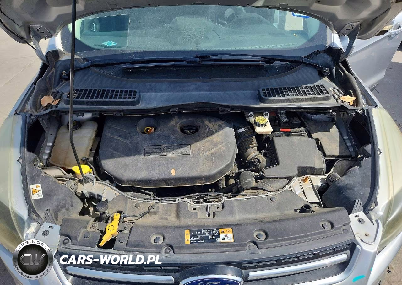2014 Ford Escape Titanium VIN:1FMCU0J97EUA76700 - 12