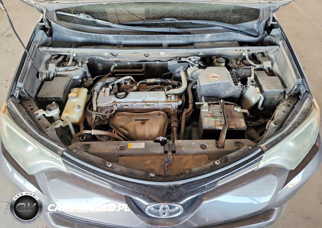 2016 Toyota Rav4 Xle VIN:2T3RFREV8GW494676 - 11