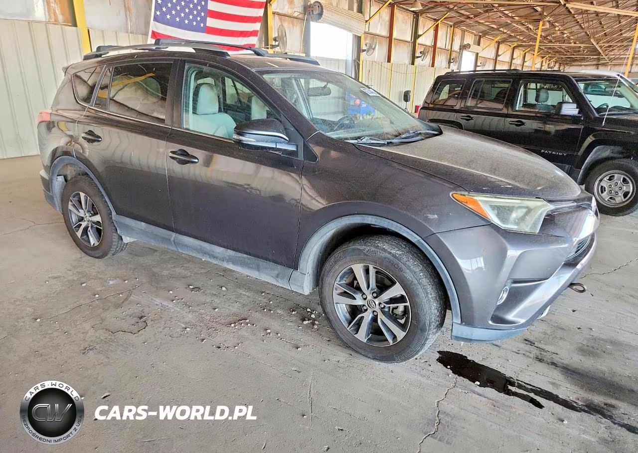 2016 Toyota Rav4 Xle VIN:2T3RFREV8GW494676 - 4