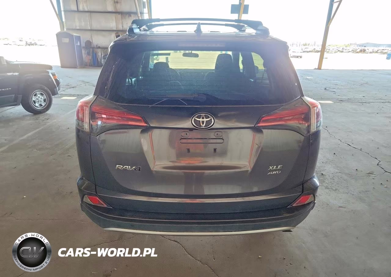 2016 Toyota Rav4 Xle VIN:2T3RFREV8GW494676 - 6