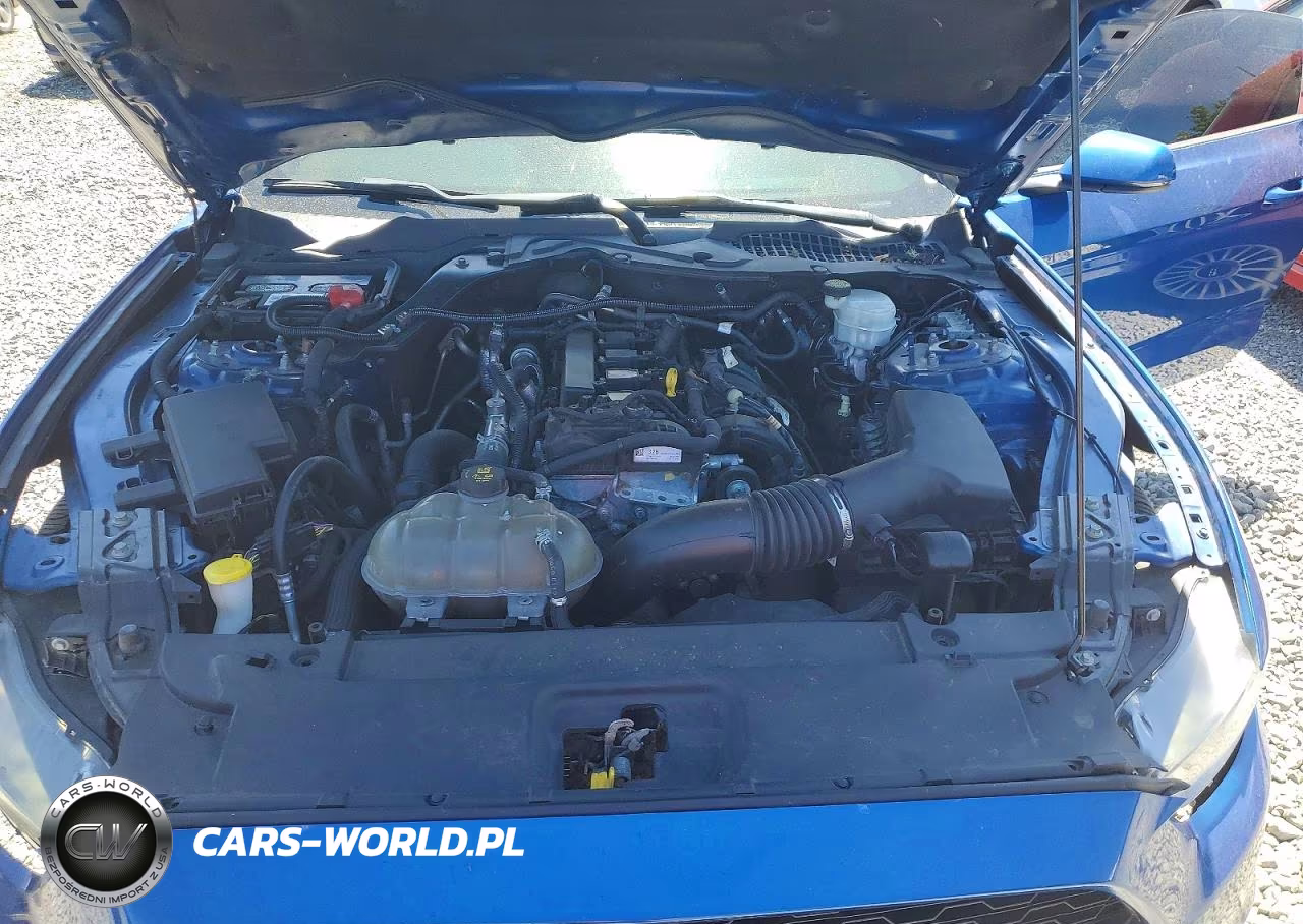 2017 Ford Mustang VIN:1FA6P8THXH5281959 - 11