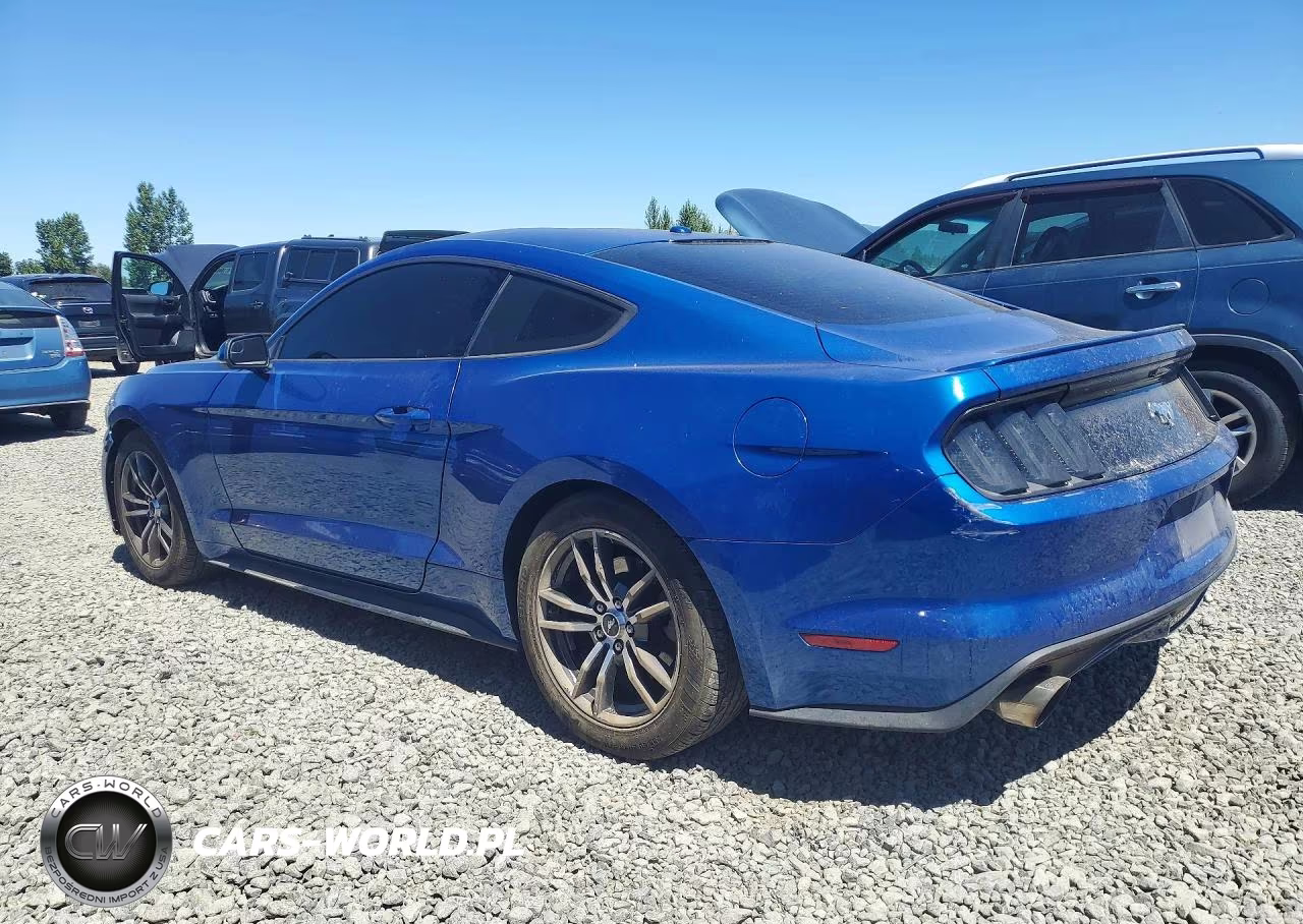 2017 Ford Mustang VIN:1FA6P8THXH5281959 - 2