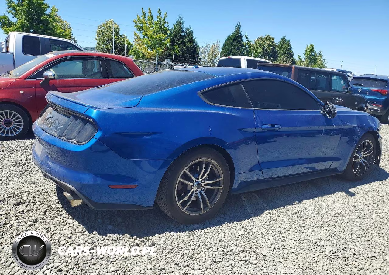 2017 Ford Mustang VIN:1FA6P8THXH5281959 - 3