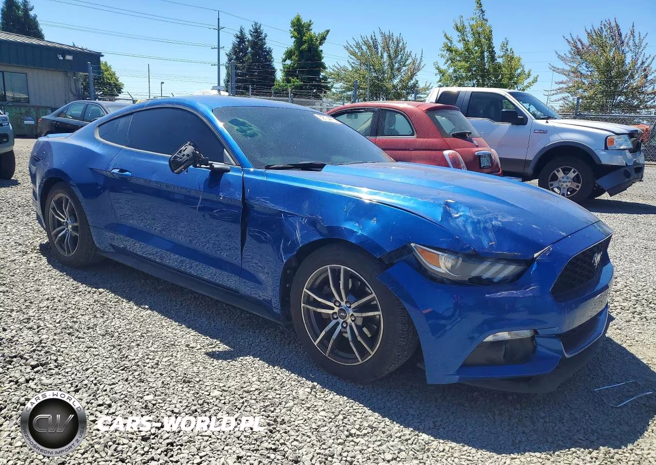 2017 Ford Mustang VIN:1FA6P8THXH5281959 - 4