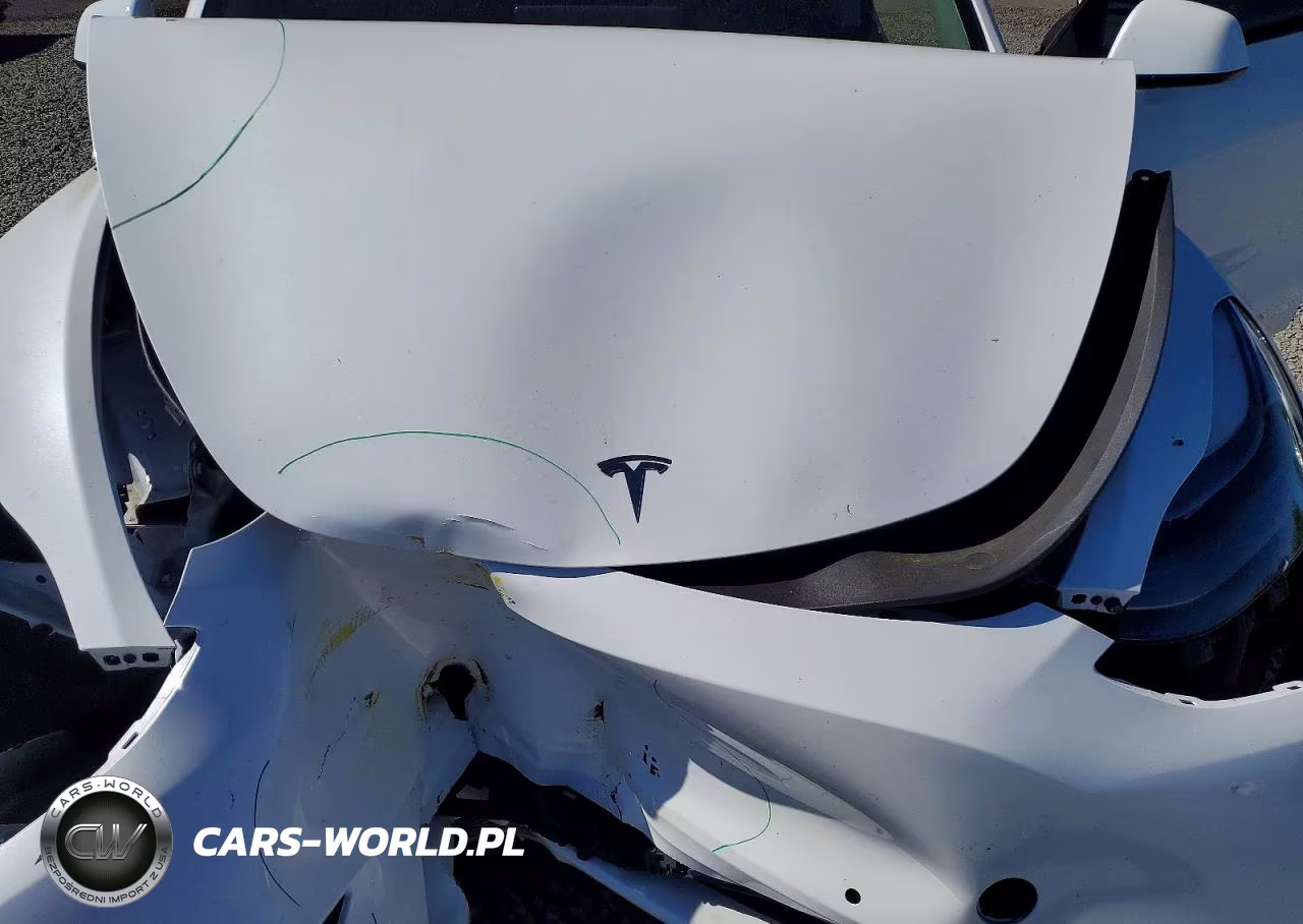 2022 Tesla Model Y VIN:7SAYGDEF2NF446701 - 12