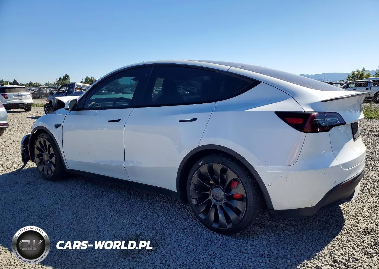 2022 Tesla Model Y VIN:7SAYGDEF2NF446701 - 2