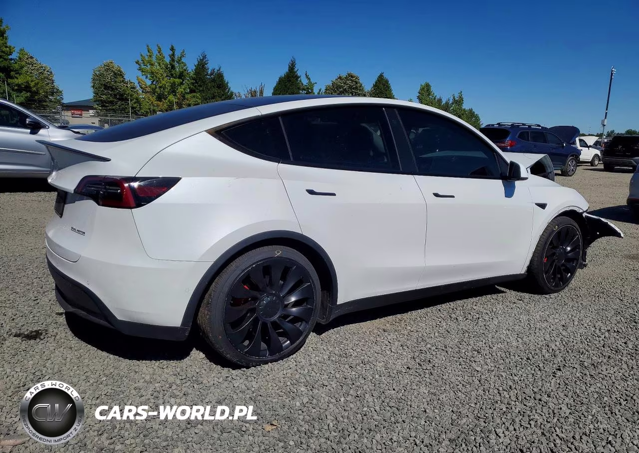2022 Tesla Model Y VIN:7SAYGDEF2NF446701 - 3
