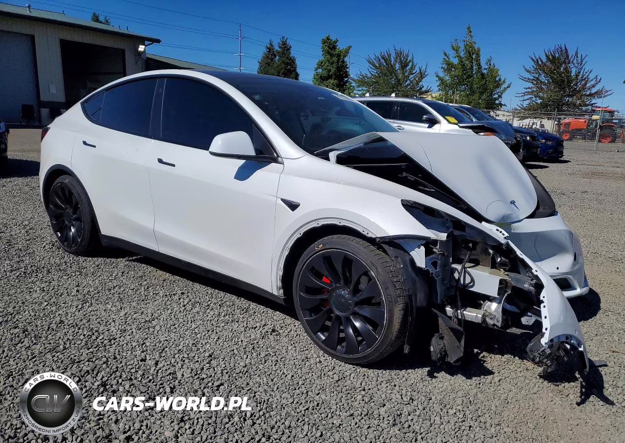 2022 Tesla Model Y VIN:7SAYGDEF2NF446701 - 4